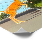 Herten springen foto Poster (Hoek)