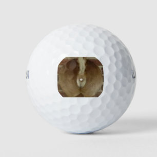 Herten trofee golfballen