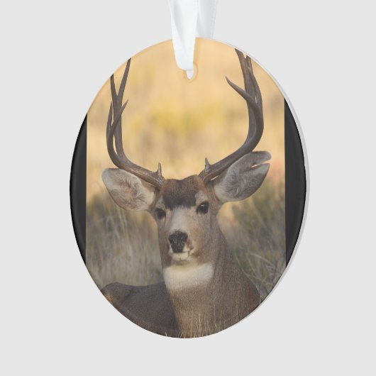 hertenbout ornament (voorkant)