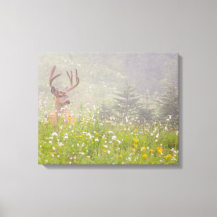 Hertengewei Mount Rainier National Park Canvas Afdruk