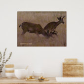 Hertenpaar in droog gras poster (Keuken)