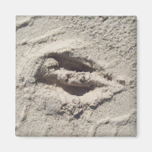 Hertenspoor Magneet (Voorkant)