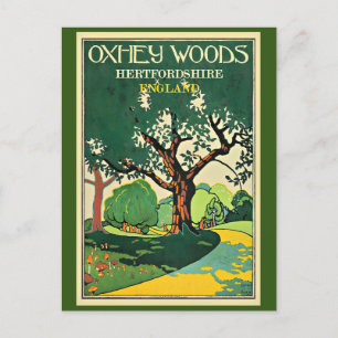 Hertfordshire, Oxley Bossen, Verenigd Koninkrijk Briefkaart