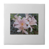 Herurrectie Lily Tegeltje (Voorkant)