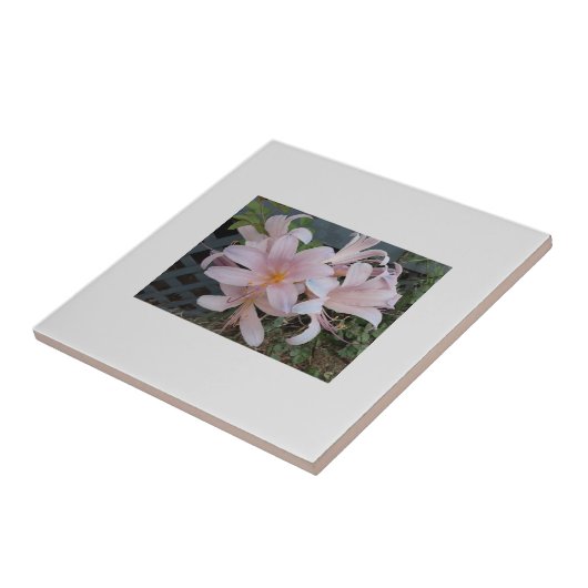 Herurrectie Lily Tegeltje (Zijkant)