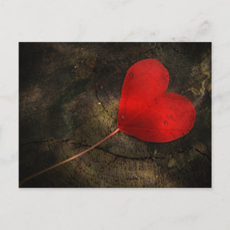 Herzblatt Briefkaart