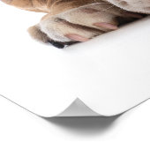 Herzien Funny Bulldog - Poster (Hoek)