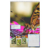 HERZIEN: "gebruikende vleugel" Kalender (Feb 2026)