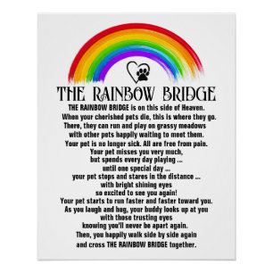 Herziene REGENBOOGBRUG Perfect Poster
