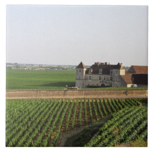 Het 16e-eeuwse klooster en Clos de Vougeot Tegeltje