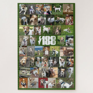 Het 188 Poster van de Reddingsgroep Puzzle Legpuzzel