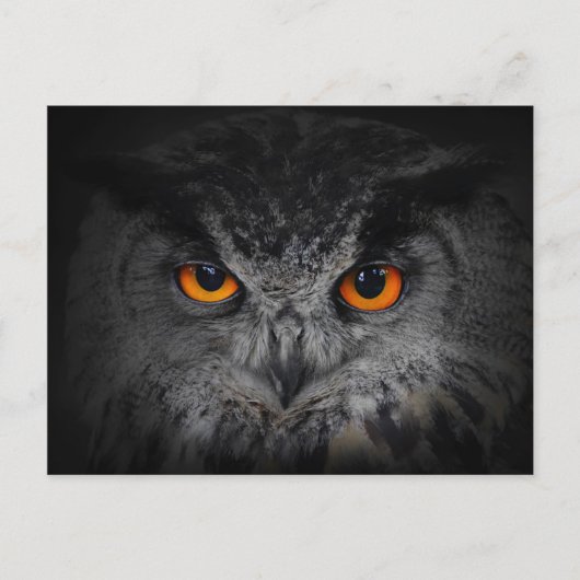 Het aambeeld ziet er uit. (Eagle Owl, Bubo Bubo) Briefkaart (Voorkant)
