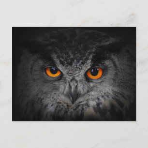 Het aambeeld ziet er uit. (Eagle Owl, Bubo Bubo) Briefkaart