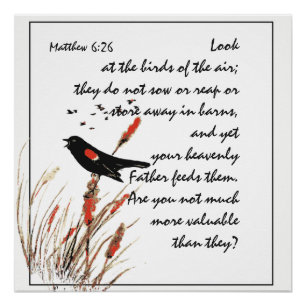 Het aanmoedigen van Bijbelse Schrift Matthew Bird Perfect Poster