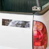 Het achtervolgen van de Bumpersticker van de Water (Op Truck)