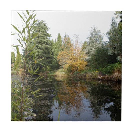 Het afbeelding van de tuinscène, mooie bomen... tegeltje (Voorkant)