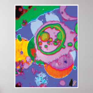 Het Afbeelding van Juicey kc Poster