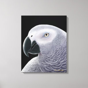 Het Afrikaanse grijze papegaai Canvas Afdruk