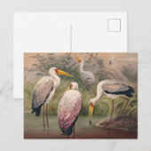 Het Afrikaanse hout Ibis van Joseph Wolf Briefkaart (Voorkant / Achterkant)