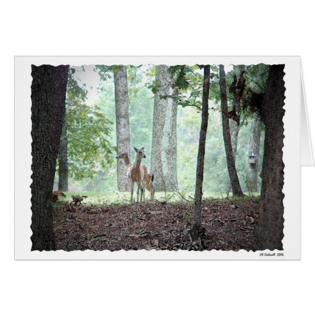 Het afspelen in de Bossen (Voorkant Horizontaal)