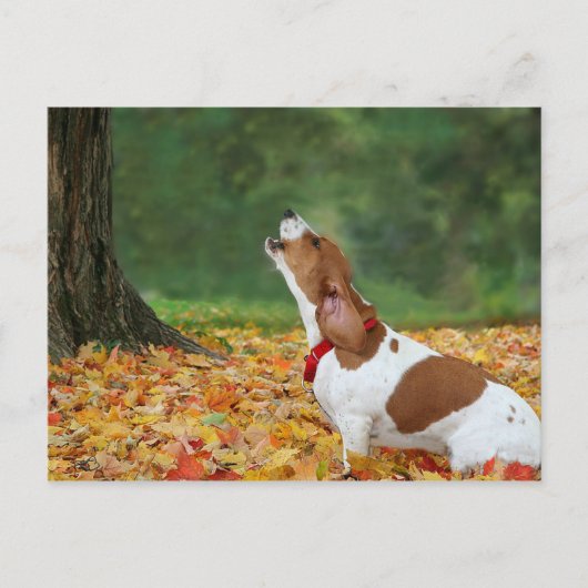 Het alarm geluid briefkaart (Voorkant)