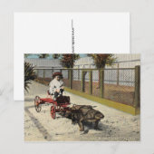 Het Alligator Go-Cart Briefkaart (Voorkant / Achterkant)