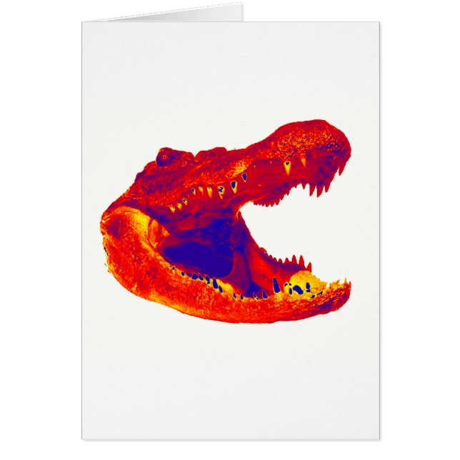 HET ALLIGATORGEBIED (Voorkant)