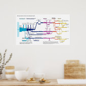 Het Amerikaanse System Flowchart Poster (Keuken)