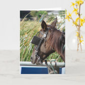 Het Amish Horse Kaart (Gele Bloem)