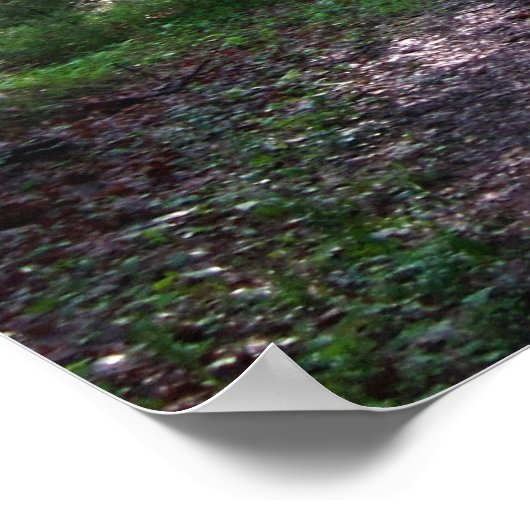 Het Appalachian Trail, PA Poster (Hoek)