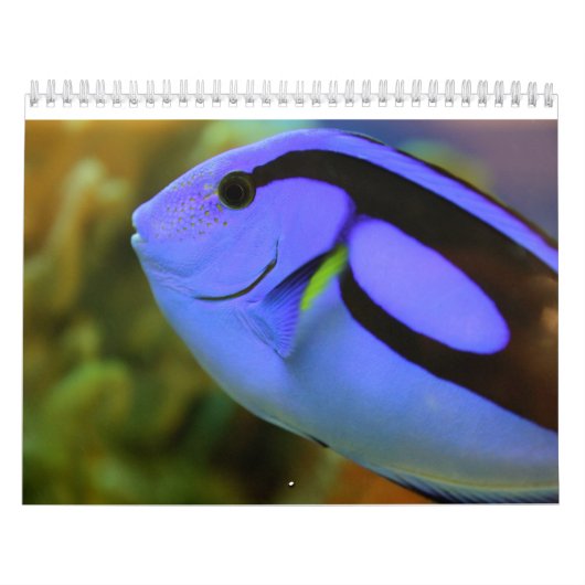 Het aquarium kalender (Hoes)