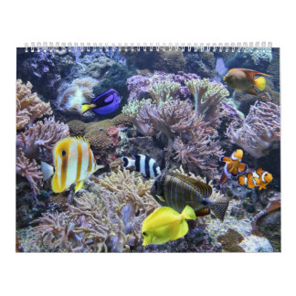 Het aquariumkalender kalender