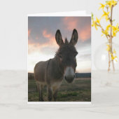 Het Art. van de ezel Kaart (Gele Bloem)