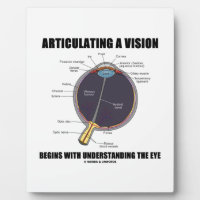 Het articuleren van een visie begint het oog te be