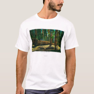 Het auto Login reuzenbos, sequoia's T-shirt