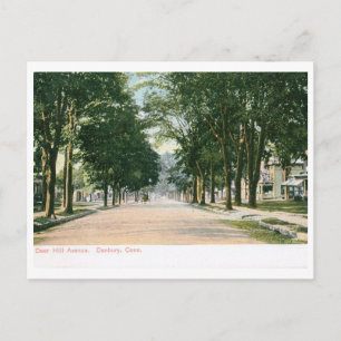 Het Ave van de Heuvel van herten., CT Danbury Briefkaart