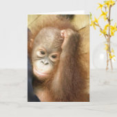 Het Baby van de orangoetan Kaart (Gele Bloem)