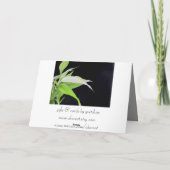 Het bamboe verlaat het Wenskaart van de Reis Kaart (Achterkant)