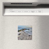 Het Beach Magnet Magneet (Insitu (Vaatwasser))