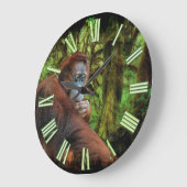 Het bedreigde Afbeelding Orangutan & Rainforest Pr Grote Klok (Hoek)