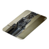 Het beeld van de leeuwengodin Sekhmet van de Magneet (Linkerzijde)