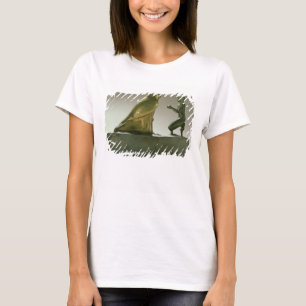 Het beeld van koning Taharqa dat de valk-god aanbi T-shirt