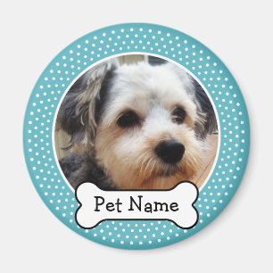 Het Been van de hond en het Blauwe Lijst van de Magneet