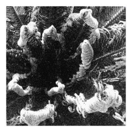 Het begin foto afdruk