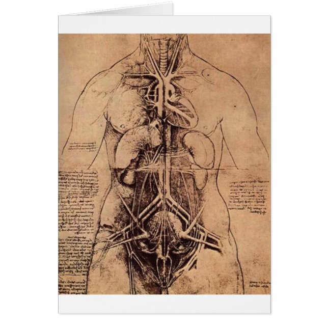 Het beginsel van organen en vasculair en Urino-Gen (Voorkant)