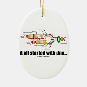 Het begon allemaal met DNA. (DNA-replicatie) Keramisch Ornament