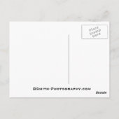 Het bekken briefkaart (Achterkant)