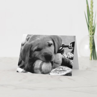 Het belangrijke Puppy van de Liga - de Kaarten van