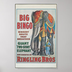 Het belemmeren van Bros Big Bingo de olifant Circu Poster