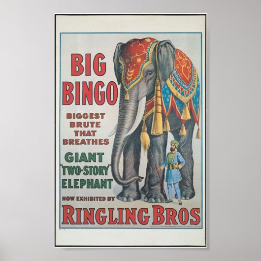 Het belemmeren van Bros Big Bingo de olifant Circu Poster (Voorkant)